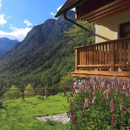 Zadnjica Holiday House Soča Eksteriør billede