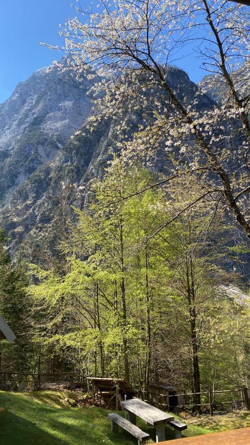 Zadnjica Holiday House Soča Eksteriør billede